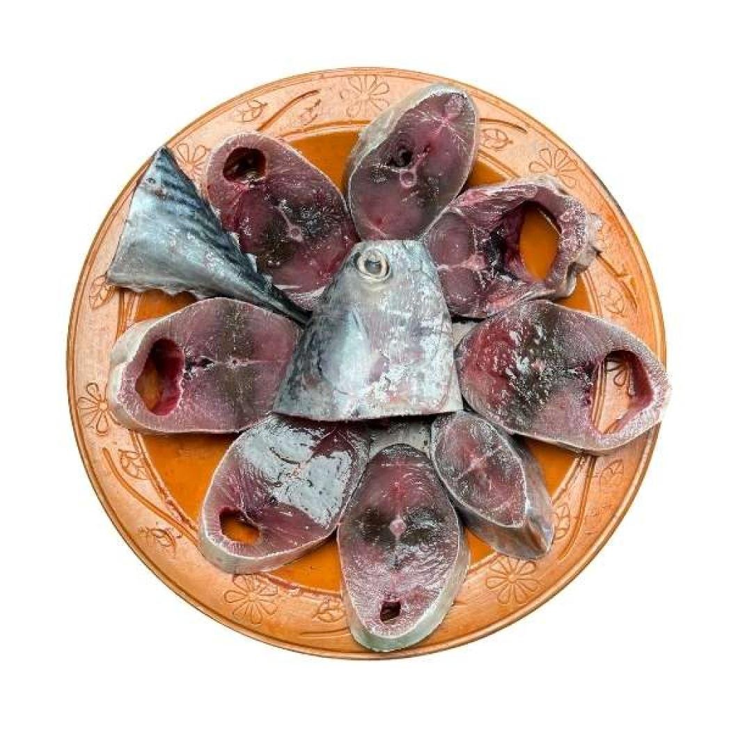 সামুদ্রিক টুনা মাছ